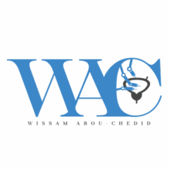 Mr. Wissam Abou-Chedid
